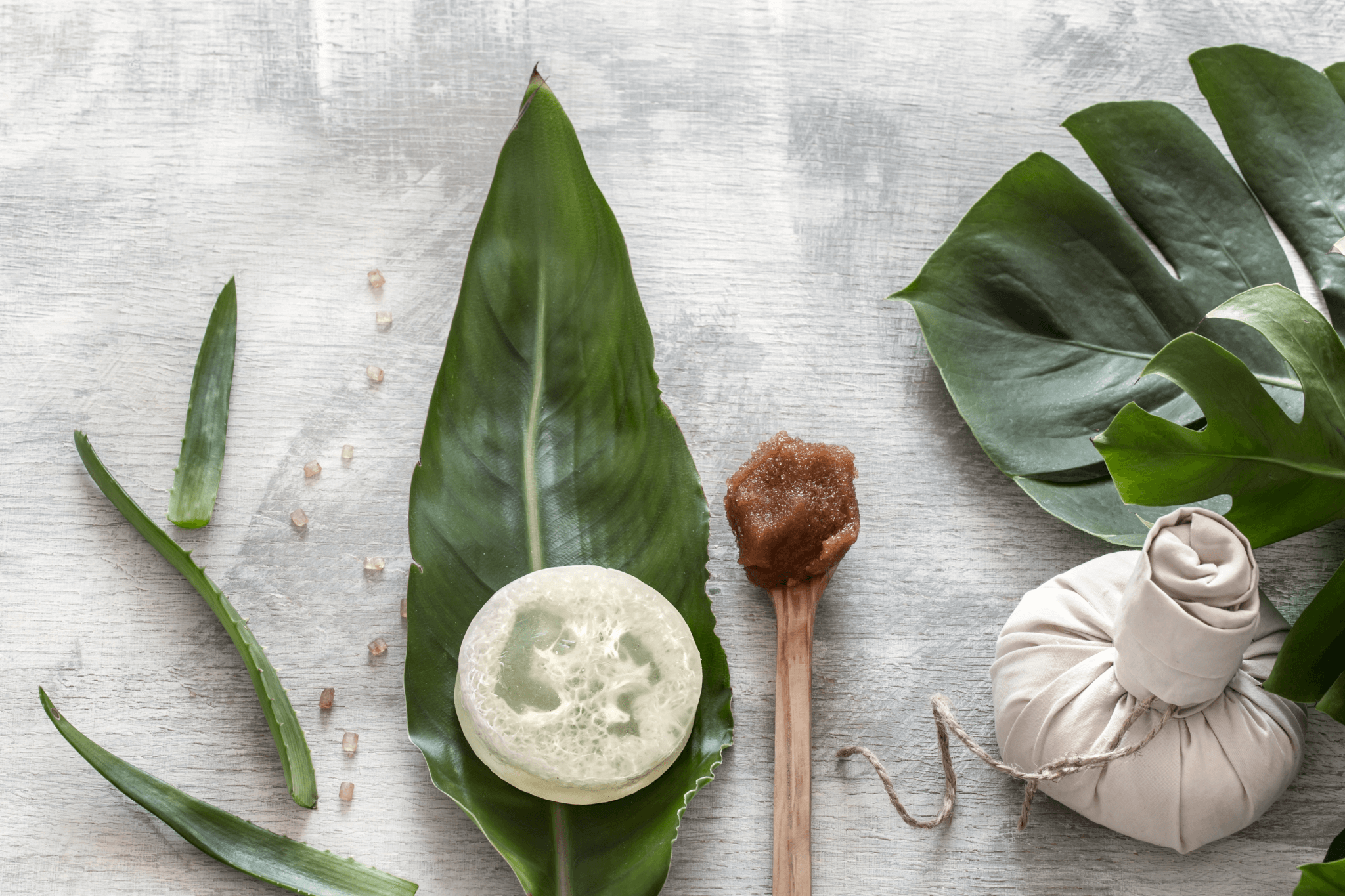 set d'ingrédients naturels pour exfoliation