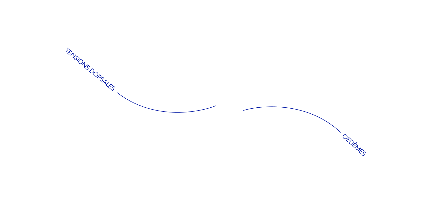 zone du dos à travailler