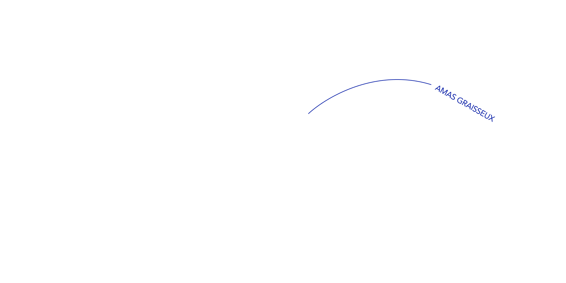 zone des bras drainage