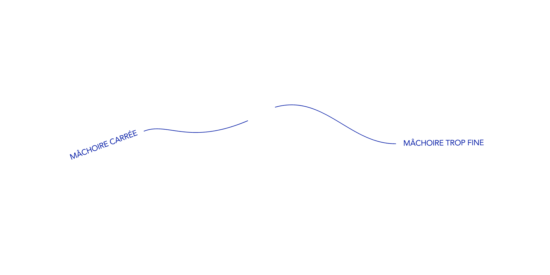 Tracés pour montrer les types de mâchoires
