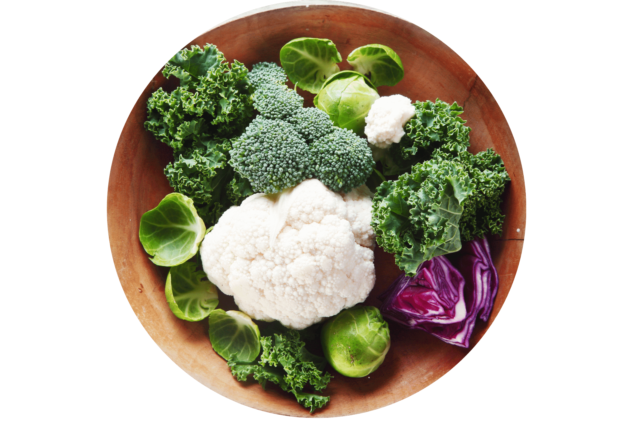 chou, chou-fleur, chou rouge, choux de bruxelles