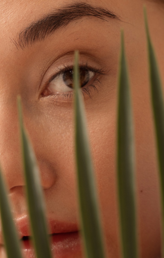 diagnostic d'une peau mixte