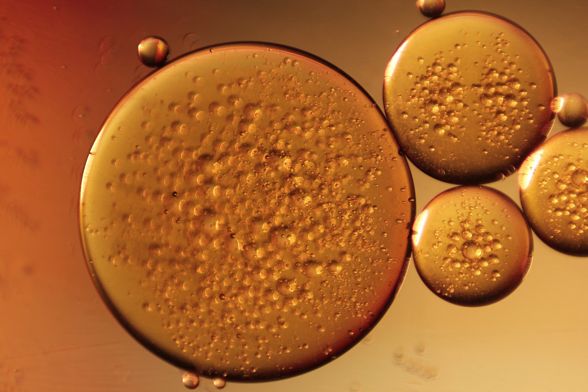 Gouttes d'huile de macadamia pour réduire l'acné