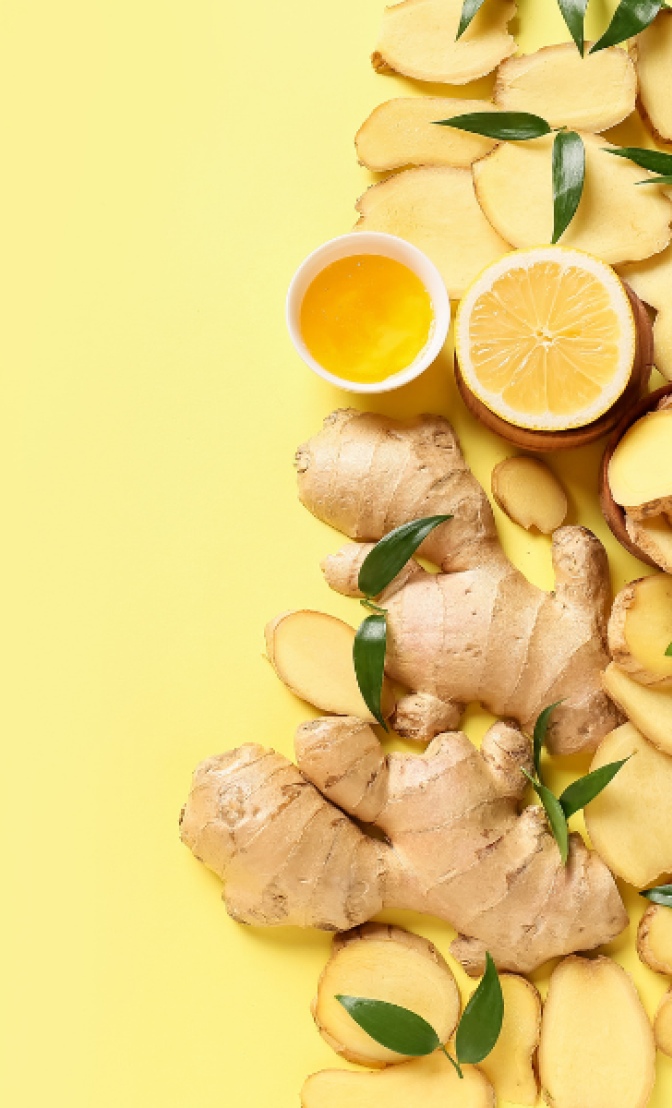 ginseng pour favoriser le renouvellement des cellules cutanées