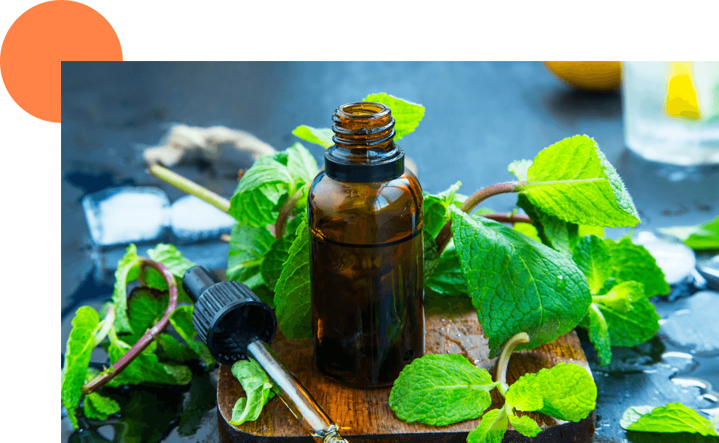 huile menthe poivrée cheveux