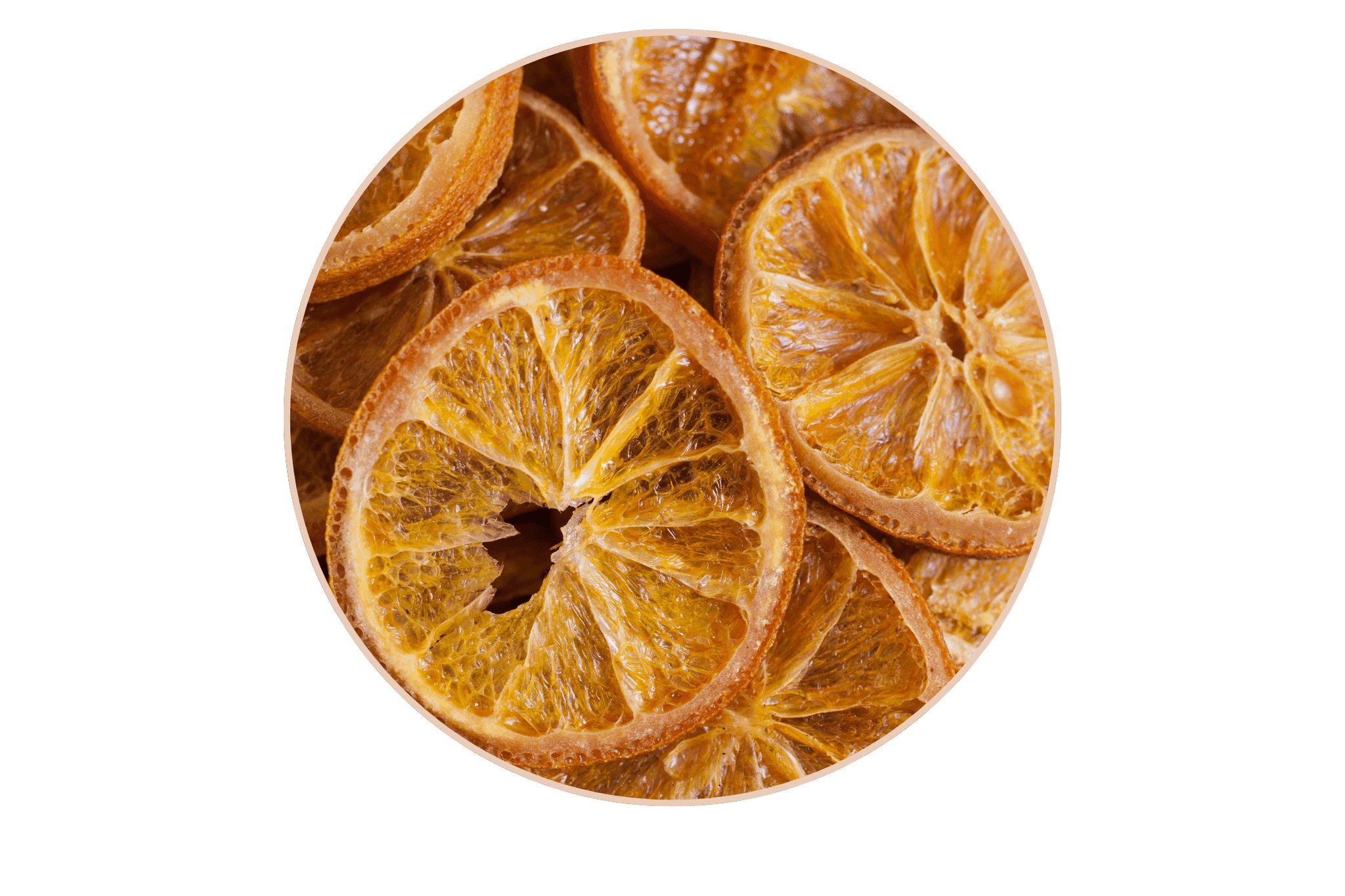 illustration de la peau sèche avec des agrumes séchés 