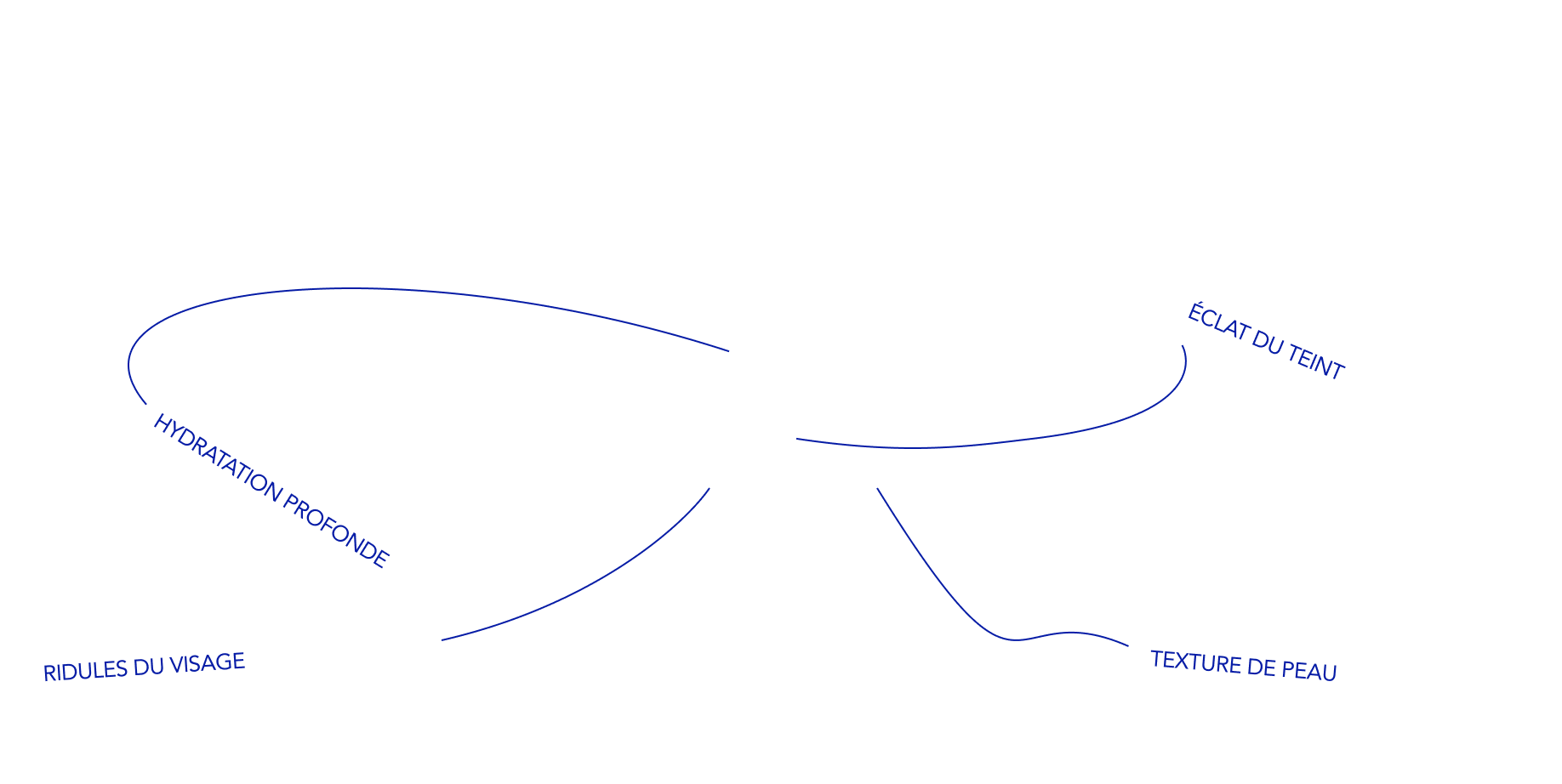 tracés des zones du skinbooster