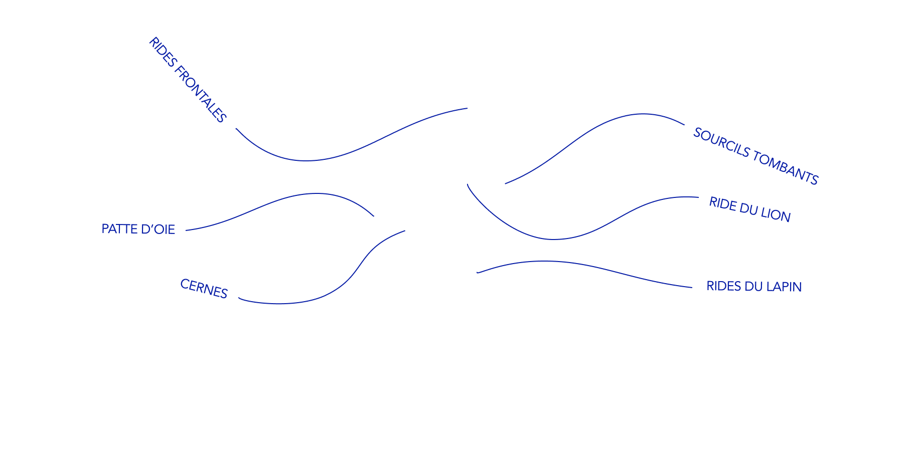 tracés des différentes rides que l'on peut traiter avec le botox
